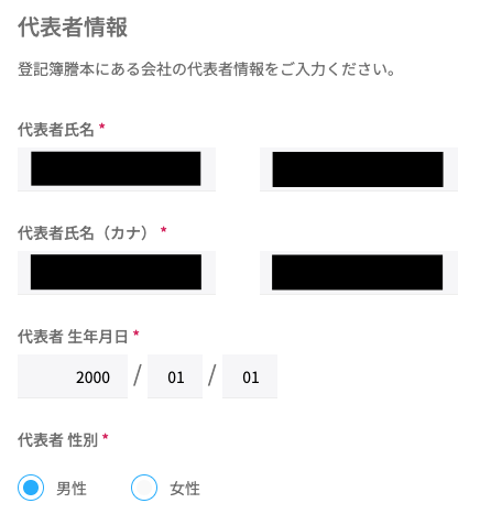 STEP21以降(契約情報の入力ボタン押した後3)
